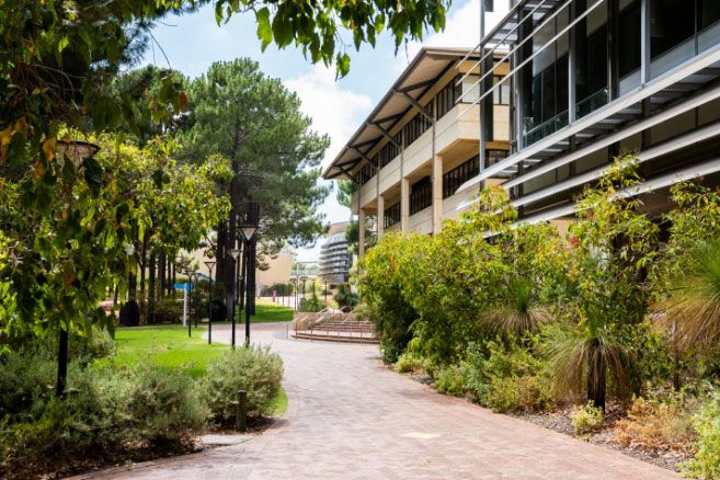Sri lanka campus outside