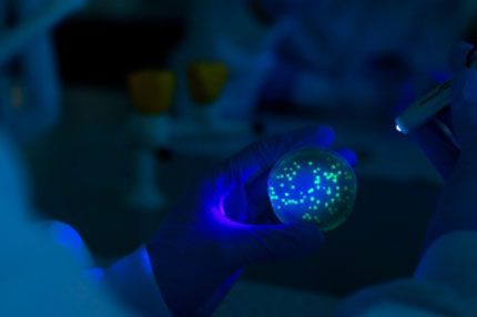 Students working cells