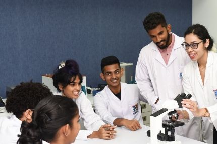 Students working science lab